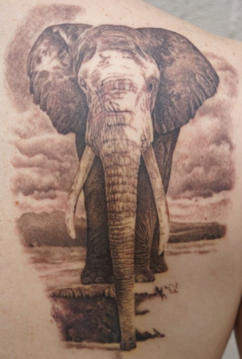 Nathan's Elephant